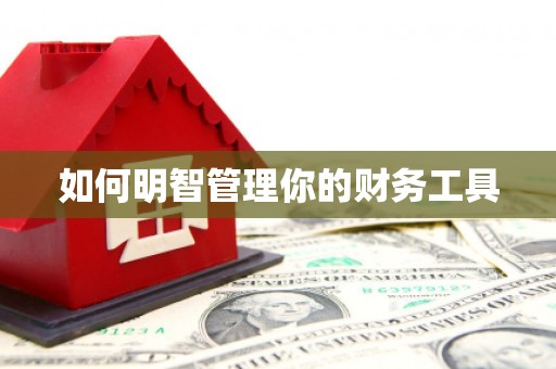 建昌如何明智管理你的财务工具