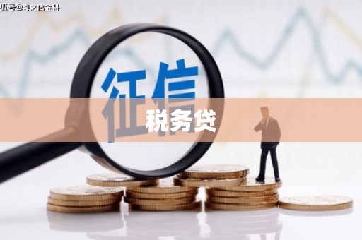 建昌税务贷