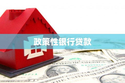 建昌政策性银行贷款