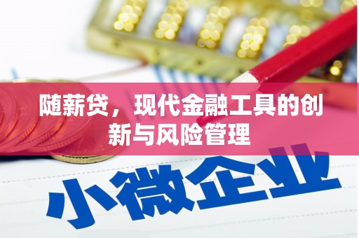 建昌随薪贷，现代金融工具的创新与风险管理