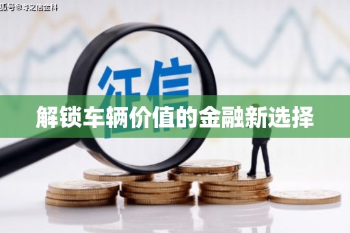 建昌解锁车辆价值的金融新选择