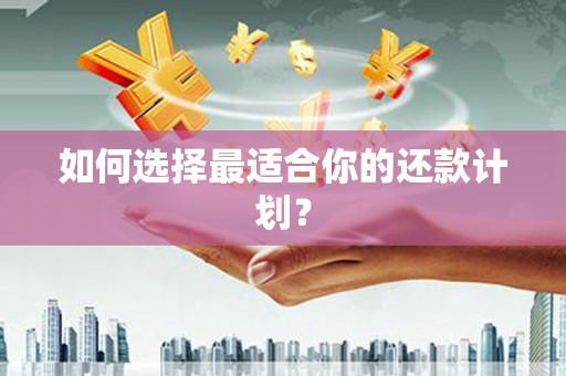 建昌如何选择最适合你的还款计划？