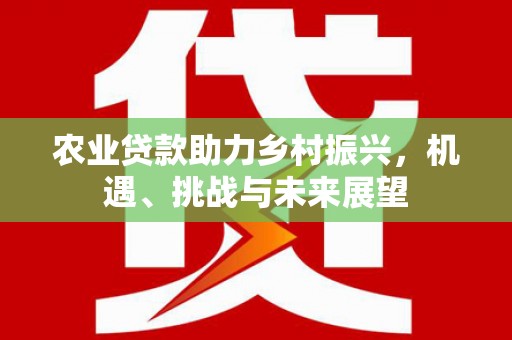 建昌农业贷款助力乡村振兴，机遇、挑战与未来展望