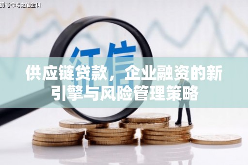 建昌供应链贷款，企业融资的新引擎与风险管理策略