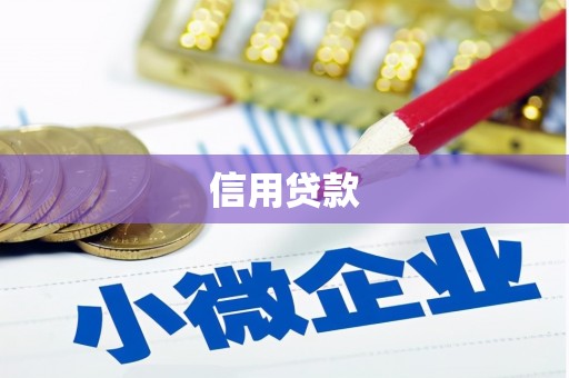 建昌信用贷款