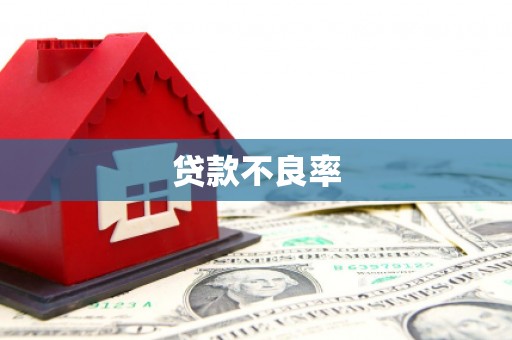建昌贷款不良率