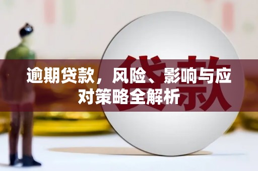 建昌逾期贷款，风险、影响与应对策略全解析