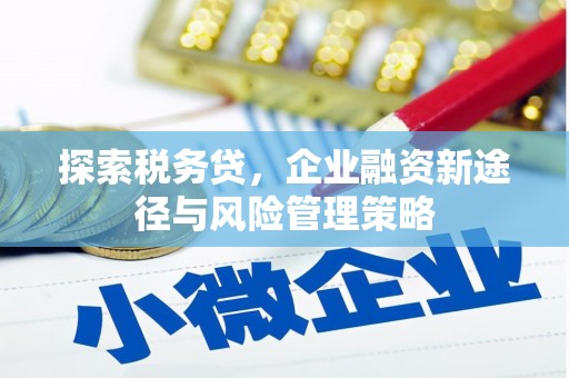 建昌探索税务贷，企业融资新途径与风险管理策略