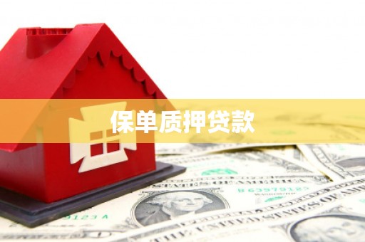 建昌保单质押贷款