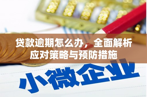 建昌贷款逾期怎么办，全面解析应对策略与预防措施