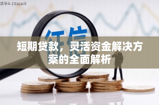 建昌短期贷款，灵活资金解决方案的全面解析