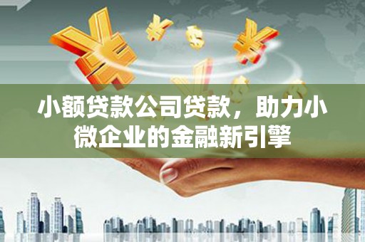 建昌小额贷款公司贷款，助力小微企业的金融新引擎