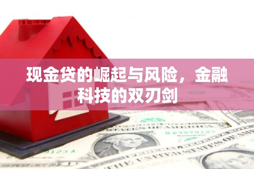 建昌现金贷的崛起与风险，金融科技的双刃剑