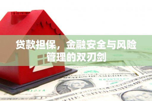 建昌贷款担保，金融安全与风险管理的双刃剑