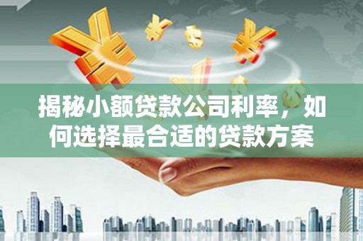 建昌揭秘小额贷款公司利率，如何选择最合适的贷款方案