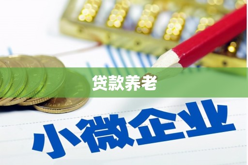 建昌贷款养老