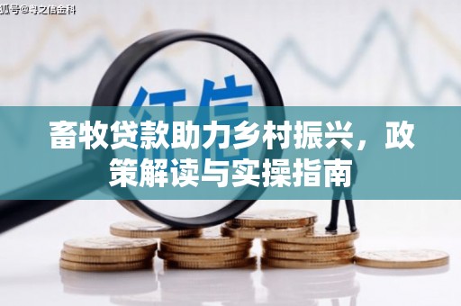建昌畜牧贷款助力乡村振兴，政策解读与实操指南