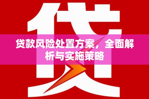 建昌贷款风险处置方案，全面解析与实施策略